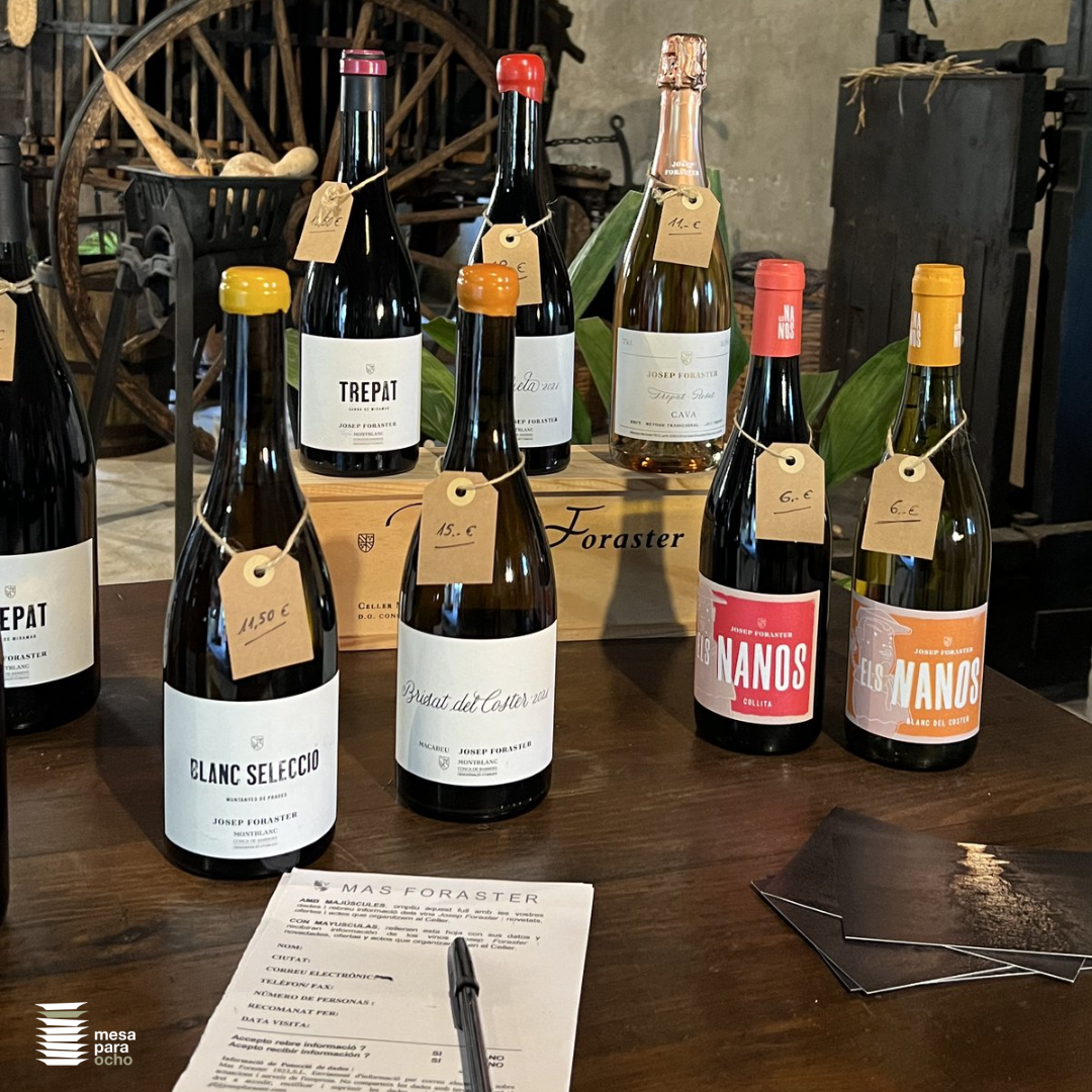 Bodega Josep Foraster